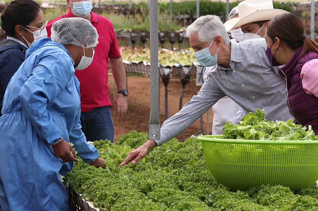 IMPULSA EDOMÉX CULTIVO HIDROPÓNICO Y CONSUMO DE ALIMENTOS SALUDABLES