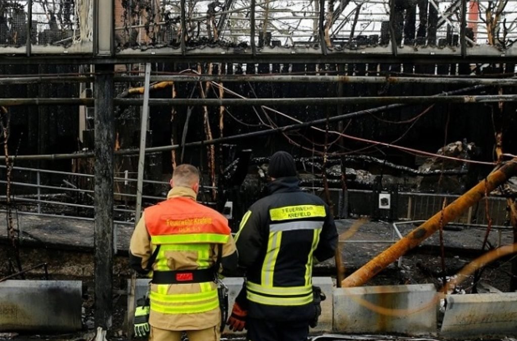 Madre e hijas se entregan tras causar incendio en zoológico de Alemania