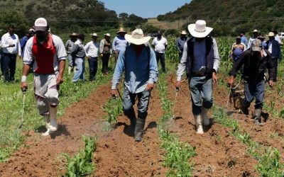UFIC PROPONE A AMLO ACUERDO NACIONAL Y CONSEJO NACIONAL ALIMENTARIO
