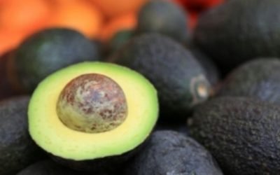 México garantiza seguridad y certeza a inspectores de USDA