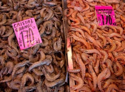 Tanto para tan poco y huachi-crustáceo