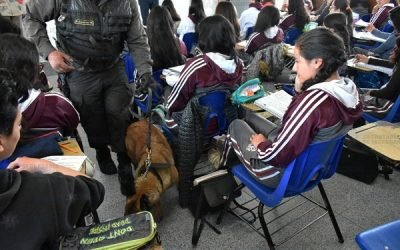 SEP debe informar si ha encontrado sustancias u objetos peligrosos en las revisiones de útiles escolares en planteles de educación media superior