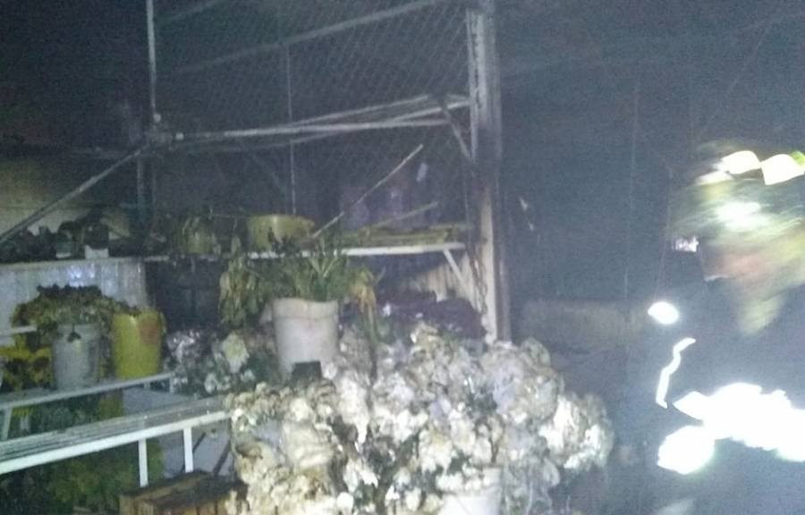 Fuego arrasa Mercado de las Flores en Xochimilco