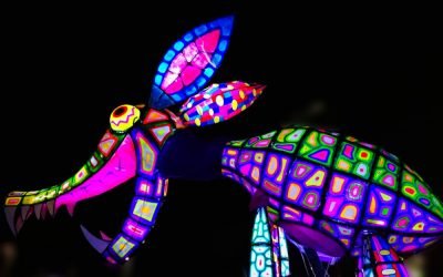 220 alebrijes desfilarán este sábado en la CDMX