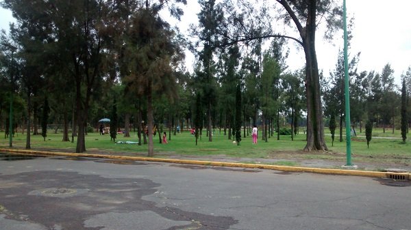 Rehabilitarán Bosque de Aragón con 80 mdp Sheinbaum