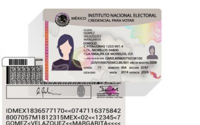 Aprueba INE procedimientos para brindar atención a la ciudadanía imposibilitada físicamente para realizar su trámite de Credencial para Votar