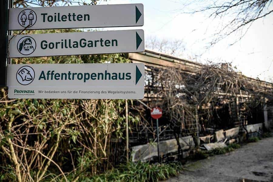 Linternas provocaron incendio en zoológico alemán