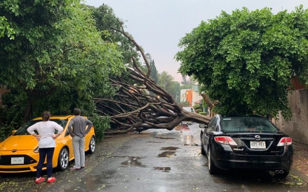 Alerta amarilla por vientos en 8 alcaldías