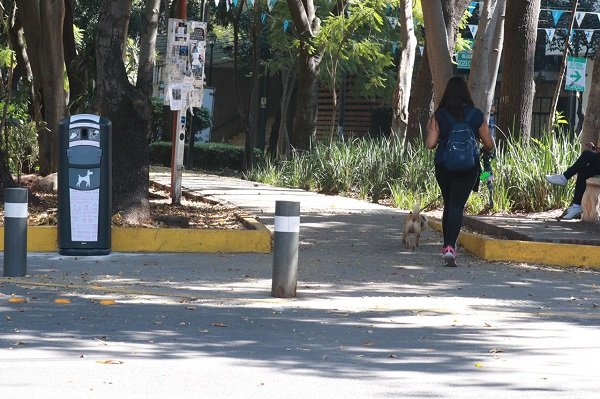 Colocan contenedores para heces caninas en la colonia Hipódromo