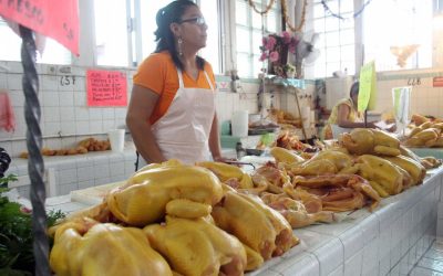 El consumo de carne de pollo y huevo es seguro, afirma SADER
