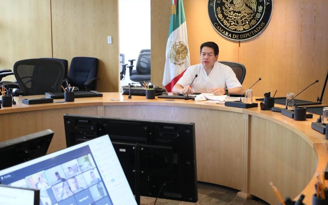 MORENA PONDRÁ EN MARCHA PLAN DE ACCIÓN PARA APOYAR A HOSPITALES, NEGOCIOS Y FAMILIAS POR COVID 19