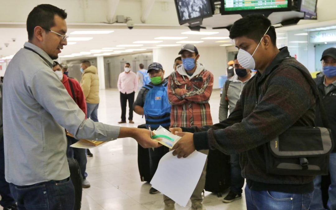 Protege STPS empleos de trabajadores agrícolas en Canadá ante el COVID-19
