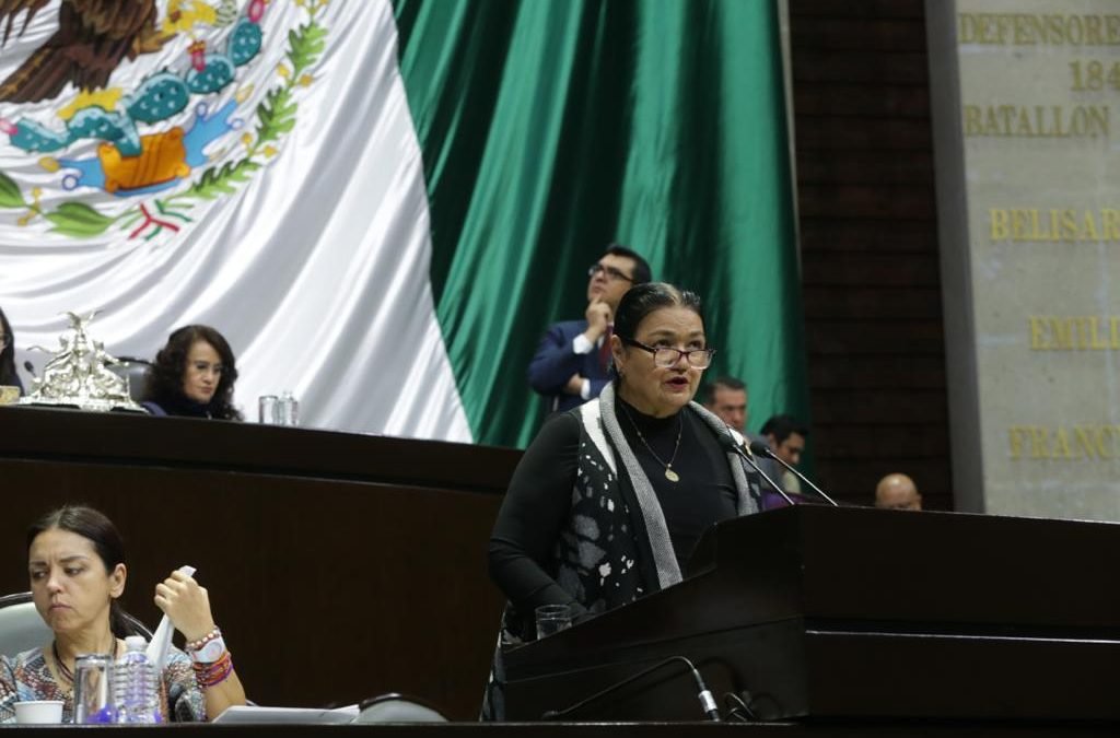 LAS DISPOSICIONES SANITARIAS PARA ENFRENTAR LA PANDEMIA NO SE CUMPLEN EN LAS ESTACIONES MIGRATORIAS DEL PAÍS: Dip. Sauri