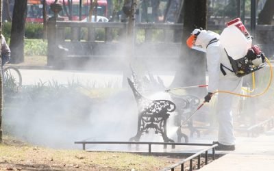 Estudia IPN bacterias con potencial actividad biológica para degradar insecticidas en suelos