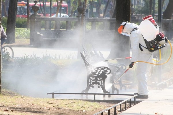 Estudia IPN bacterias con potencial actividad biológica para degradar insecticidas en suelos