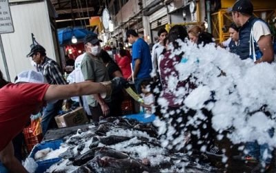 ANUNCIA GOBIERNO CAPITALINO OPERATIVO POR SEMANA SANTA EN MERCADO LA NUEVA VIGA