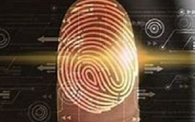 INE y instituciones privadas deben mantener la secrecía de datos de ciudadanos para evitar la suplantación de identidad y su uso indebido: INAI