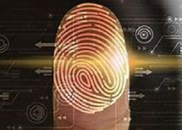 Urgente legislar en materia de identidad digital