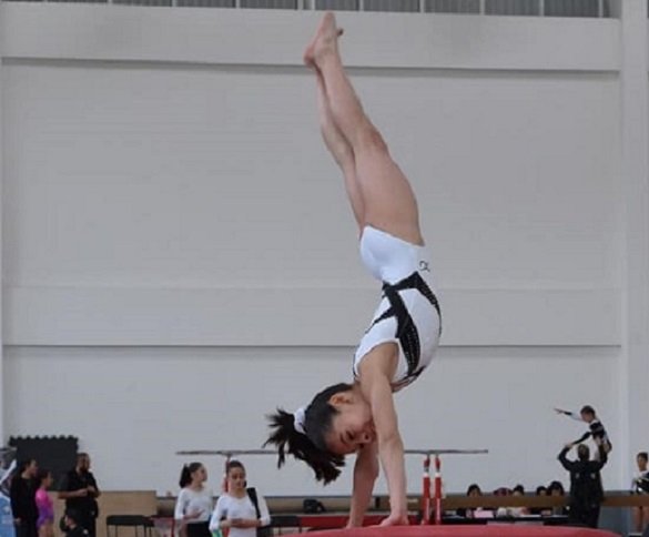 SIGUEN GIMNASTAS DEL EDOMÉX PREPARACIÓN DEPORTIVA EN CASA