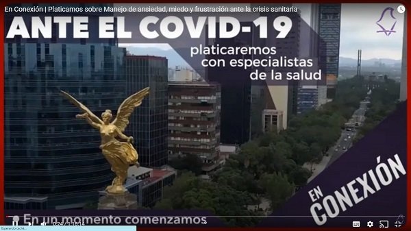 Manejo de ansiedad, miedo y frustración ante la crisis sanitaria, temas abordados “En Conexión”, el conversatorio virtual organizado por el IECM
