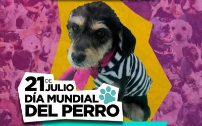 EL METRO CDMX CONMEMORA «EL DÍA MUNDIAL DEL PERRO» Y LLAMA A LA ADOPCIÓN
