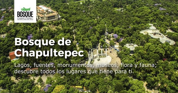 DEMANDAN A GOBIERNO CDMX CONSULTA CIUDADANA SOBRE OBRAS EN 4a. SECCIÓN DEL BOSQUE DE CHAPULTEPEC
