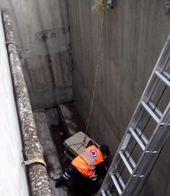 TRABAJADOR DEL STC RESCATA A PERRITA ATRAPADA EN RESPIRADERO DEL METRO CDMX Y DECIDE ADOPTARLA