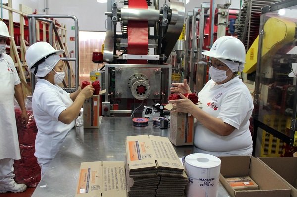 Próximo martes comisiones iniciarán análisis de reforma sobre 40 horas laborales: Mier