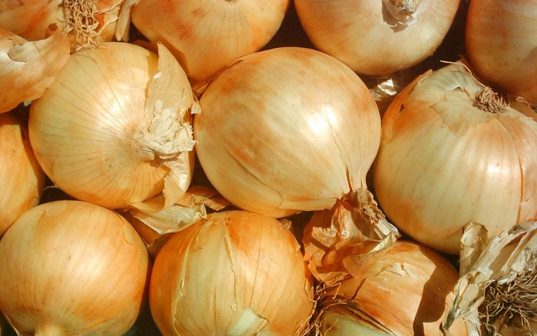 Alerta en EU por brote de salmonela; estaría vinculado a cebollas