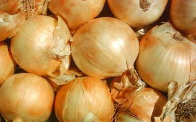 Alerta en EU por brote de salmonela; estaría vinculado a cebollas