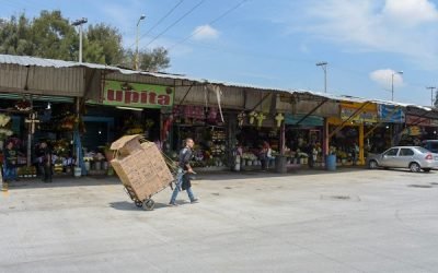 Central de Abasto de Iztapalapa, “campeona” de precios de productos básicos: Profeco
