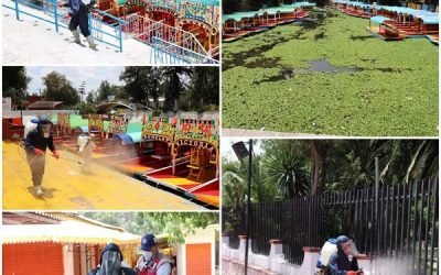 Reabren embarcaderos de Xochimilco tras pasar lo más fuerte de Covid