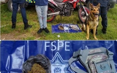 En el marco del Operativo Guanajuato Seguro, fueron detenidas 52 personas y sacadas de circulación 33 armas de fuego