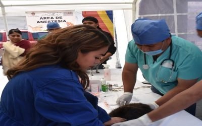 LLAMA SALUD EDOMÉX A VACUNAR A PERROS Y GATOS CONTRA LA RABIA