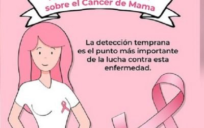 Cáncer de mama ha tenido un incremento constante en México, advierten en el Senado de la República