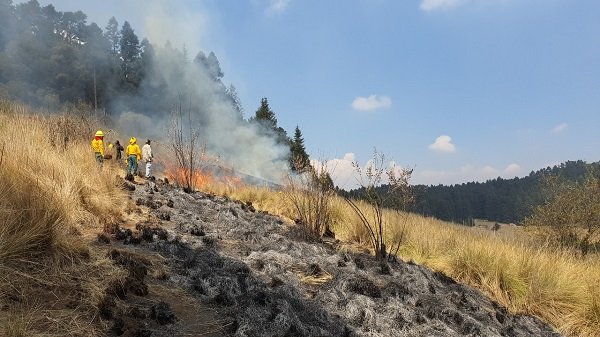 INICIA GEM TRABAJOS PREVENTIVOS CONTRA INCENDIOS FORESTALES