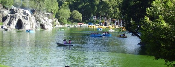 Espacio en Chapultepec dedicado a la naturaleza y cultura será el más importante de México: AMLO