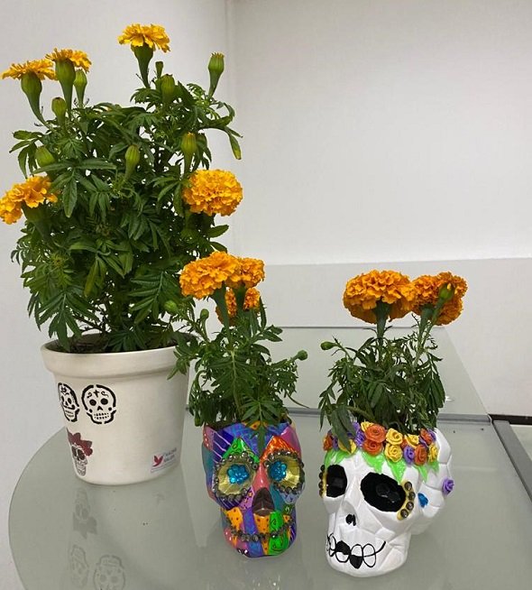 Reabre tienda de productos penitenciarios con venta de flores de cempasúchil