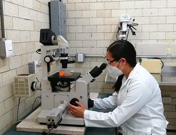 VARIACIONES EN EL COVID-19 PUEDEN GENERAR REINFECCIONES: ESPECIALISTA DEL IPN