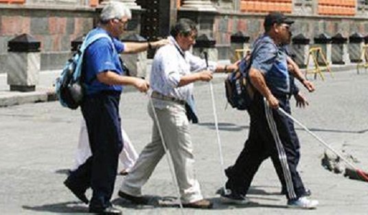 Declaran el 15 de octubre Día Nacional de las Personas Ciegas y con otras Discapacidades Visuales