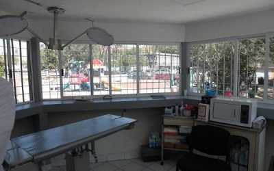 Abren Clínica Veterinaria en Tlatelolco
