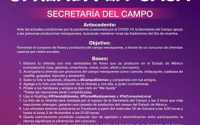 INVITA GOBIERNO MEXIQUENSE A PARTICIPAR EN CONCURSO DE OFRENDAS EN CASA