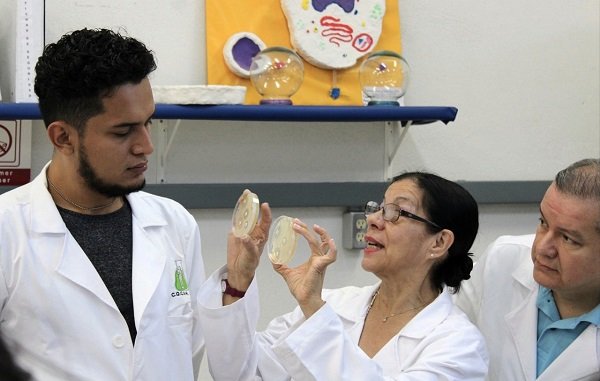 DETECTAN ESPECIALISTAS DEL IPN BACTERIAS DIFÍCILES DE COMBATIR EN HOSPITALES