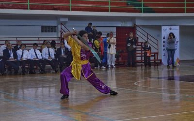 REGRESAN MEXIQUENSES A LA ACTIVIDAD DEPORTIVA EN COPA NACIONAL DE WUSHU