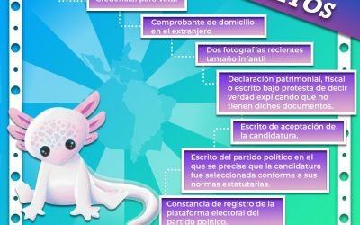 Define IECM estrategia para Voto Chilango desde el extranjero