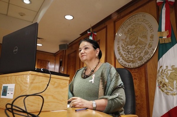 Necesario, seguimiento del gasto público aún con la emergencia sanitaria y su gravedad: Dip. Sauri Riancho
