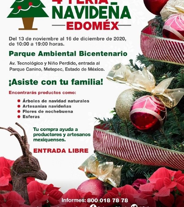 COMERCIALIZA EDOMÉX CASI 400 MIL ÁRBOLES DE NAVIDAD EN ESTE 2020