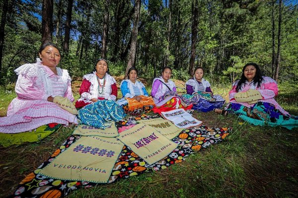 PRESERVA GEM TRADICIONES DEL PUEBLO MAZAHUA A TRAVÉS DE LA MARIPOSA MONARCA