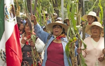 Impulsa el Senado derechos de las mujeres campesinas para que accedan a tenencia de tierras