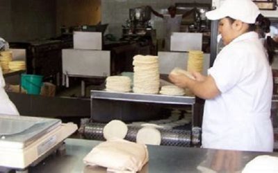 Estamos trabajando en diversas estrategias para reducir el precio de la tortilla: Sheinbaum